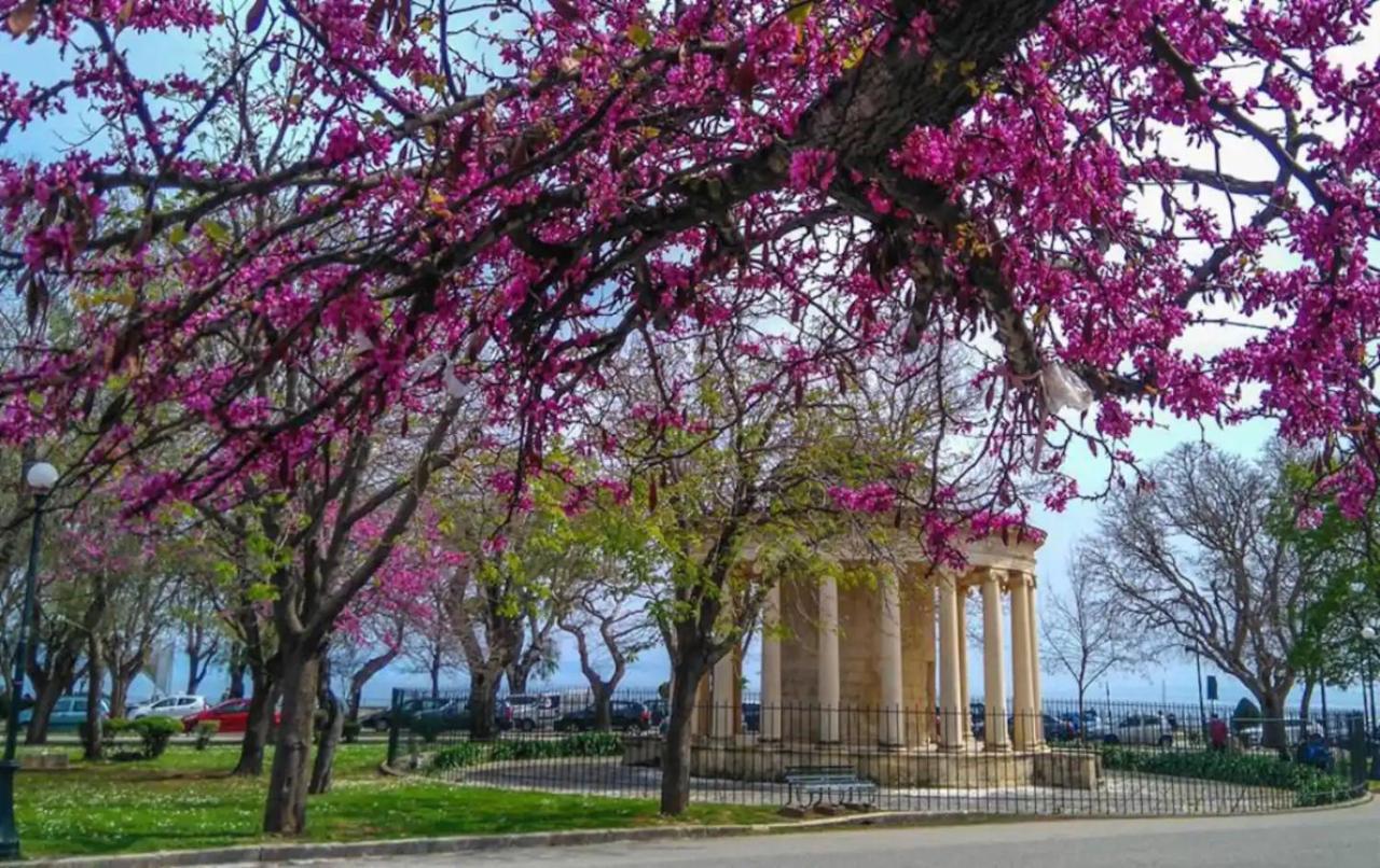 Corfu Studio In Historic Unesco City Centre Экстерьер фото